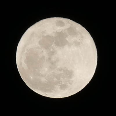 満月（月食の1か月前）.JPG